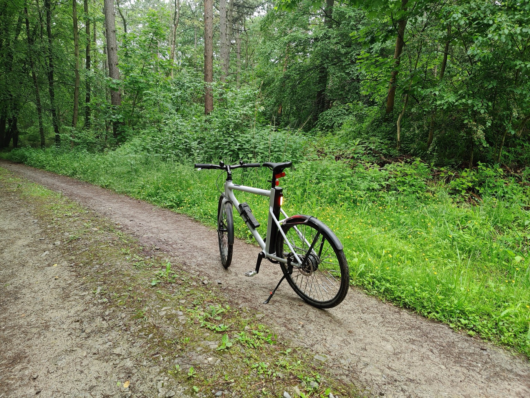 An electric bike parked on a gravel track through green woodland
