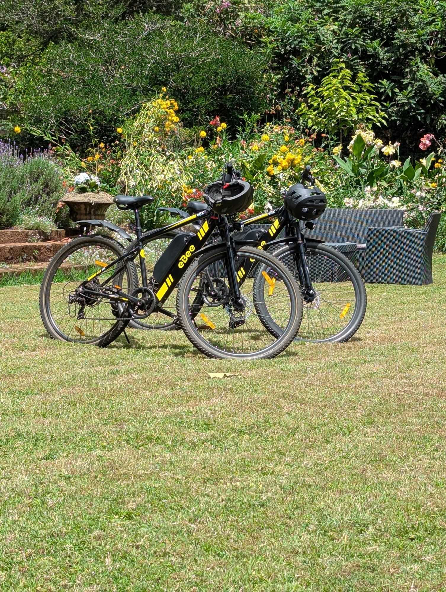 Two black and yellow e-bikes with helmets on the handlebars, parked on a lawn in front of a flower garden