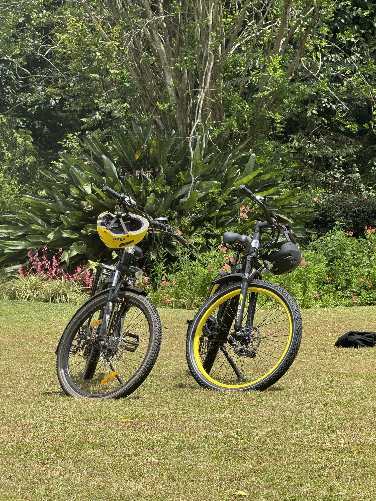 Two e-bikes, one with yellow rims, parked on a lawn in front of tall trees, with helmets on the handlebars
