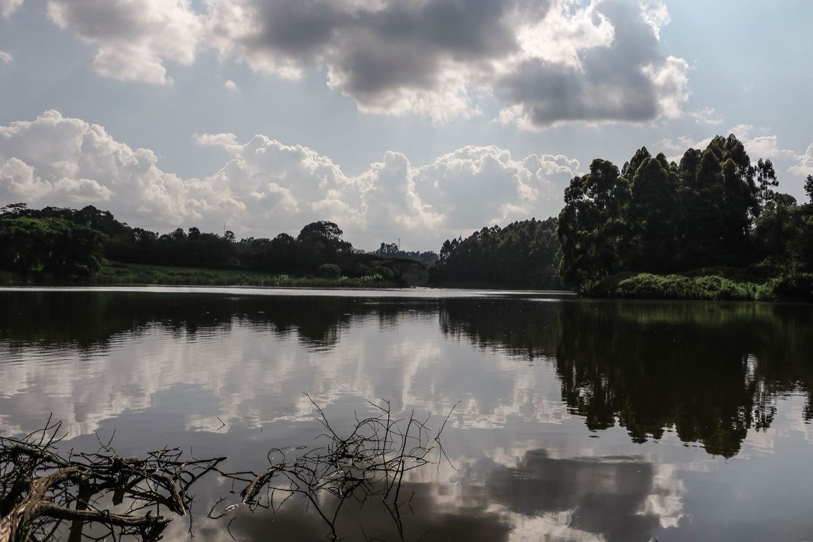 Clouds reflected in the still water of Lake Tigoni, ringed by forest