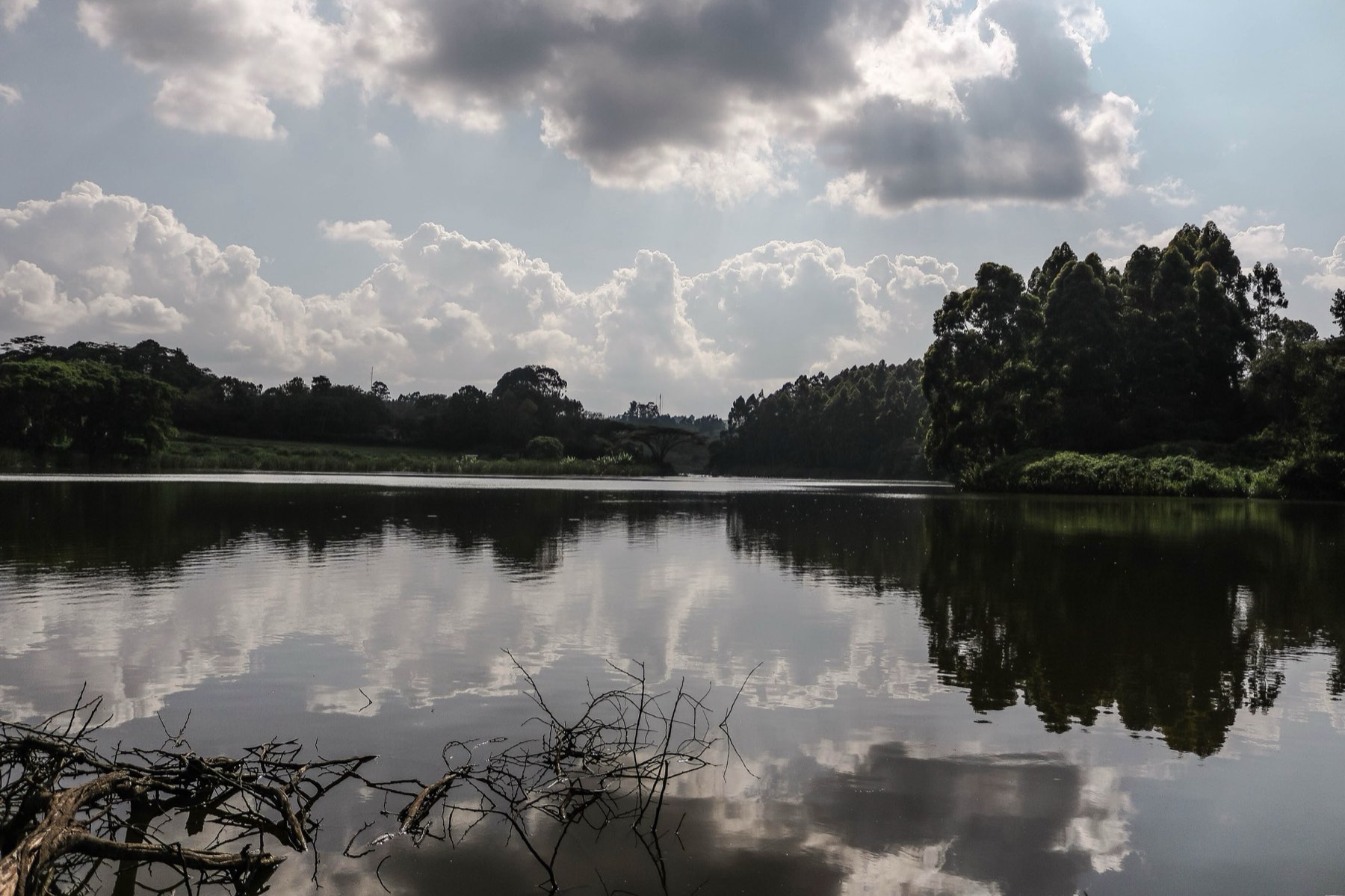 Clouds reflected in the still water of Lake Tigoni, ringed by forest