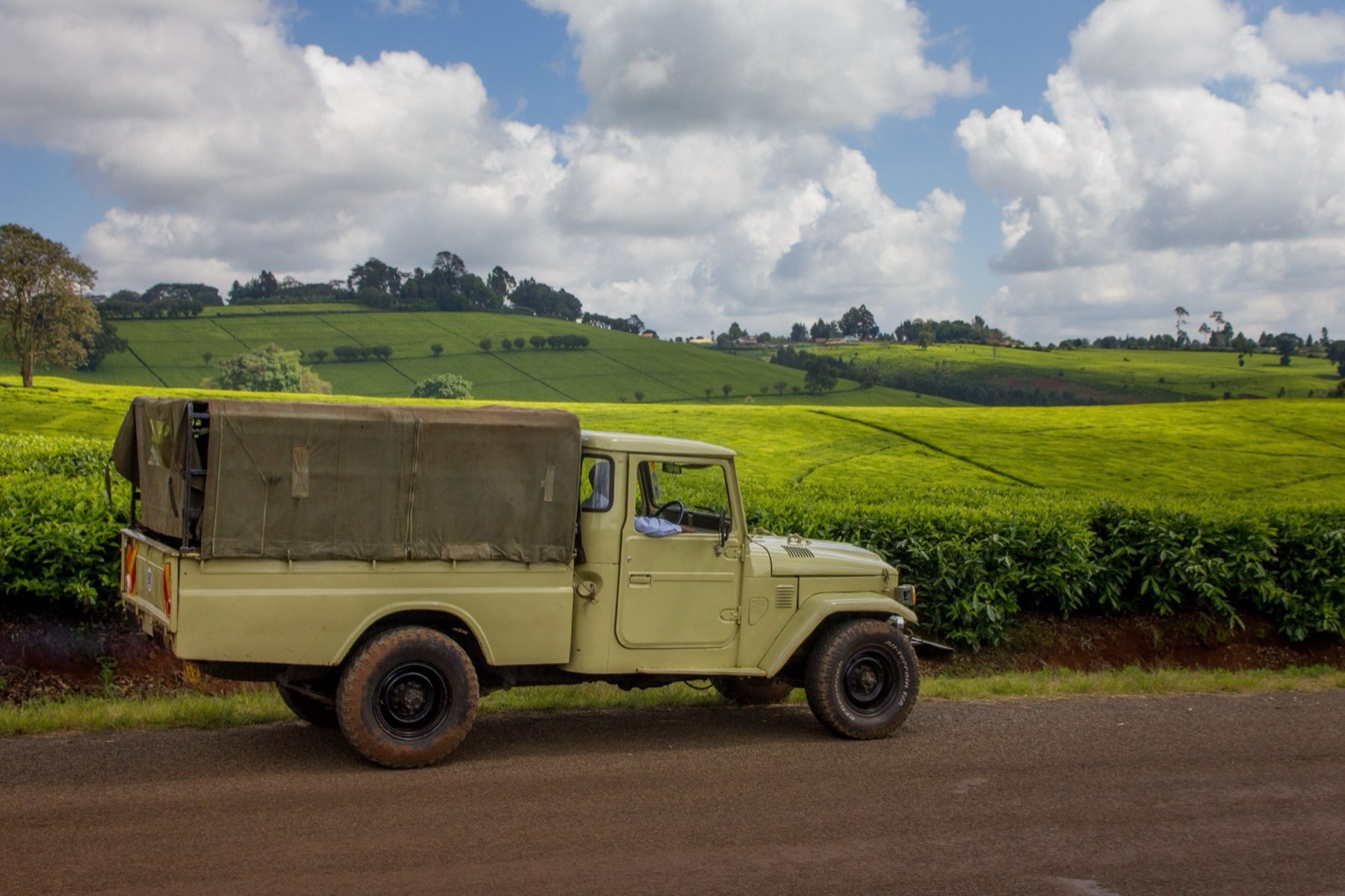 An old pickup parked on a country road beside rolling tea fields in Tigoni